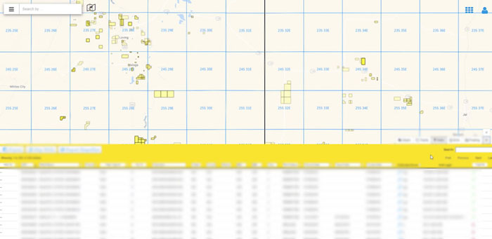 Well Screenshot for Mineral Analytics Software